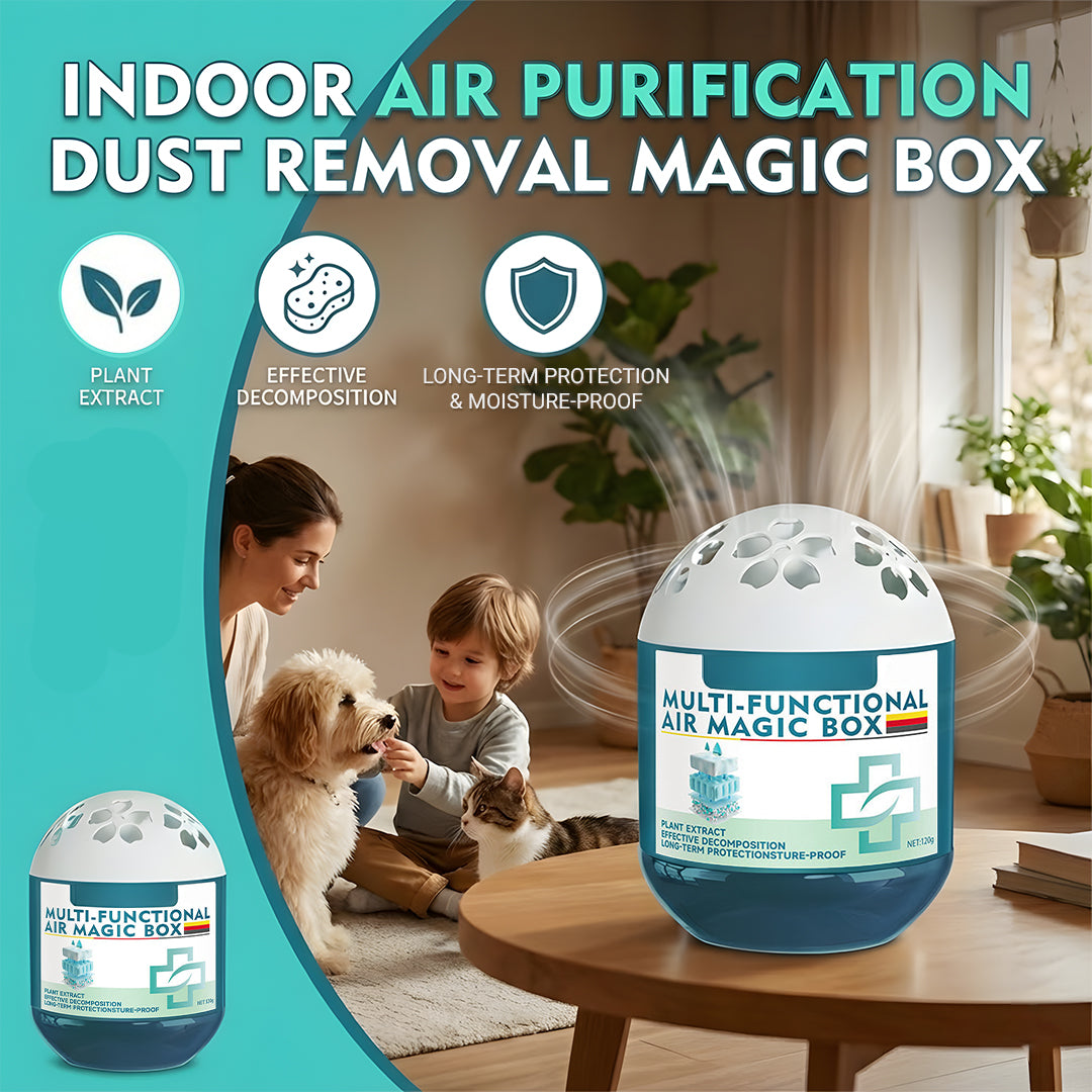 🔥2026 New Collection - Indoor Air Purification Dust Removal Magic Box