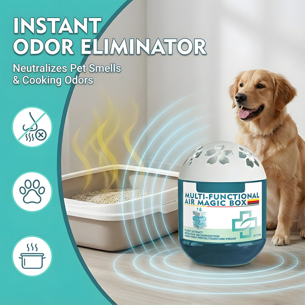 🔥2026 New Collection - Indoor Air Purification Dust Removal Magic Box